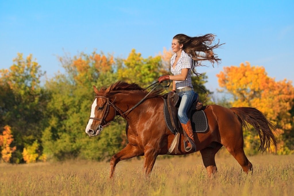 Фото 3. Верховая езда оказывает одно из самых сильных воздействий на грудь. Ездить на лошади без спортивного бюстгальтера категорически не рекомендуется.